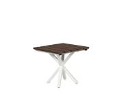 Tahoe End Table 19” Square